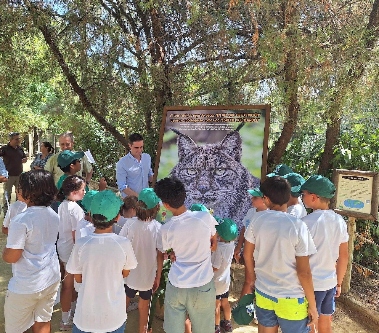 El lince ibérico ya no está en extinción; el Zoo de Jerez, entre los responsables