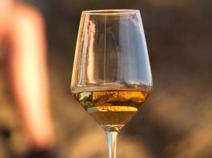 Jerez quiere reforzar su proyección turística con la candidatura a Ciudad Española del Vino 2027