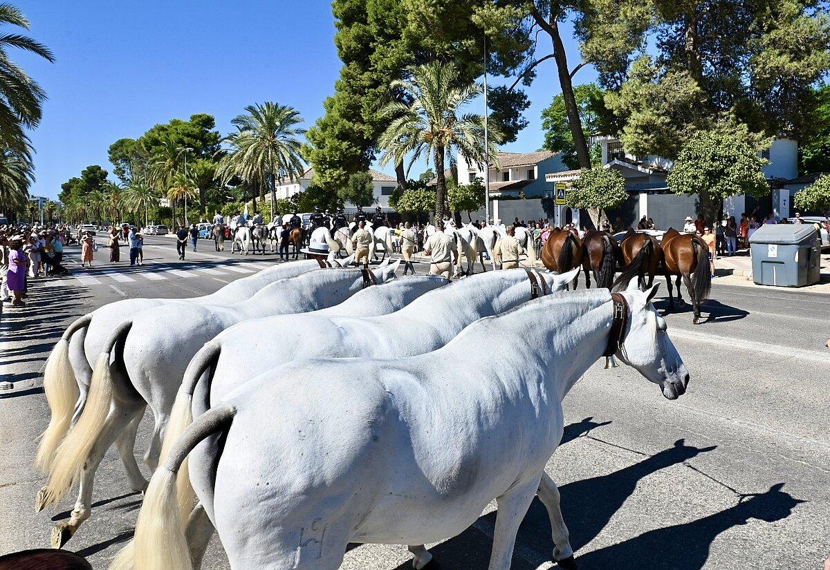 Este es el recorrido que seguirá la Parada Hípica de este viernes 18 de septiembre en Jerez