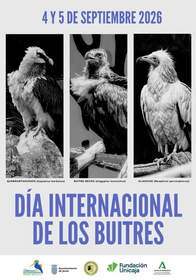 El Zoobotánico de Jerez celebra el Día Internacional de los Buitres con un programa  de actividades  para toda la familia