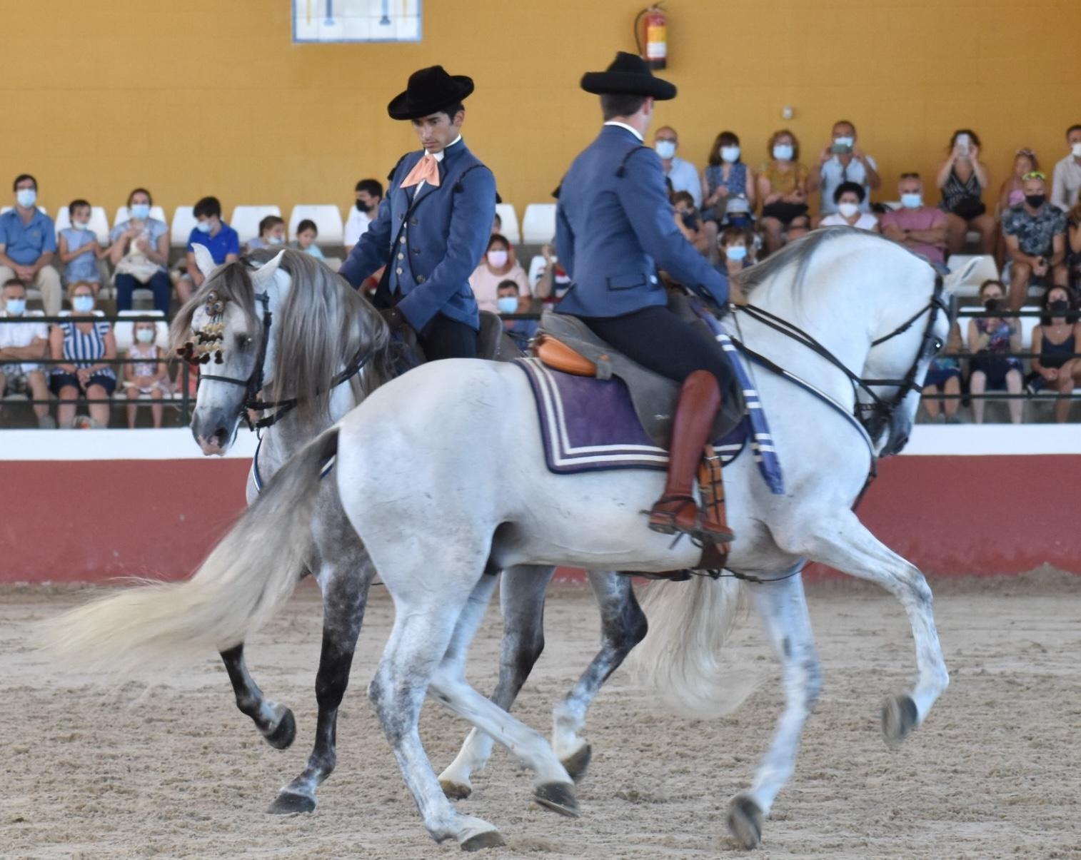 La Yeguada Cartuja de Jerez llevará a Gines el legado histórico de cinco siglos del Caballo Cartujano